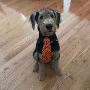 Meet your Posher, Rosario